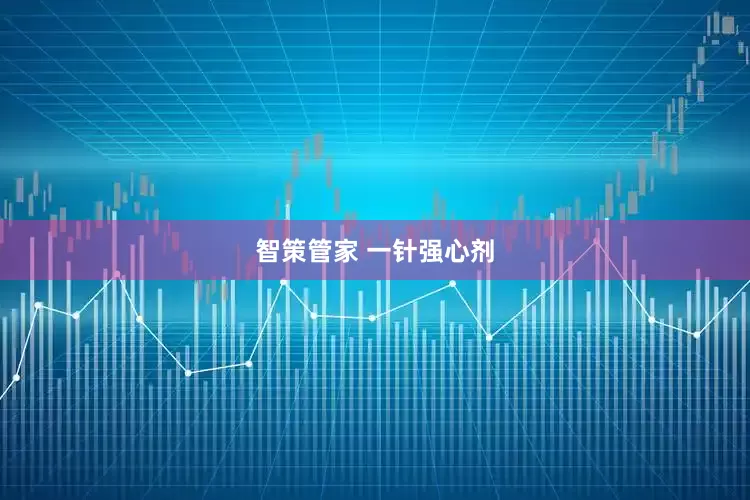 智策管家 一针强心剂