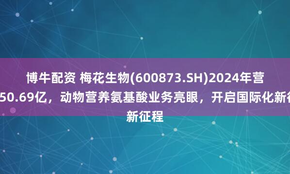 博牛配资 梅花生物(600873.SH)2024年营收250.69亿，动物营养氨基酸业务亮眼，开启国际化新征程