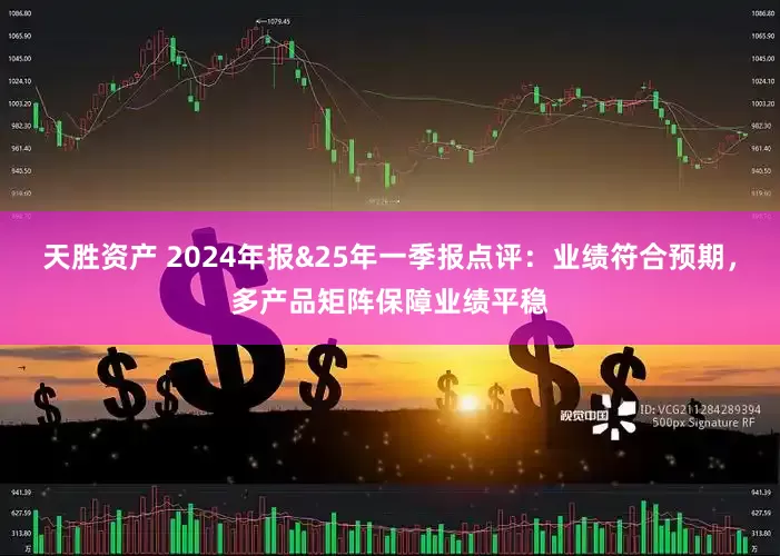 天胜资产 2024年报&25年一季报点评：业绩符合预期，多产品矩阵保障业绩平稳