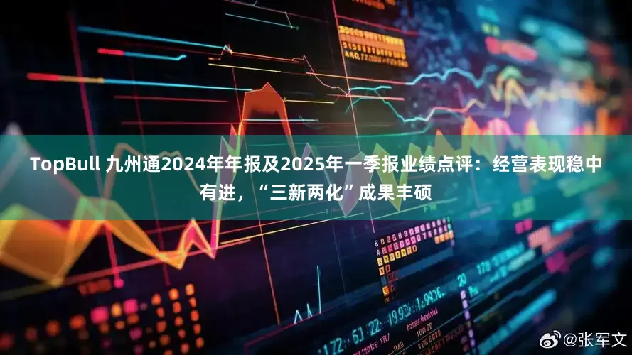 TopBull 九州通2024年年报及2025年一季报业绩点评：经营表现稳中有进，“三新两化”成果丰硕