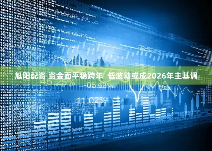 旭阳配资 资金面平稳跨年  低波动或成2026年主基调